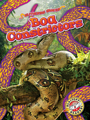 cover image of Boa Constrictors